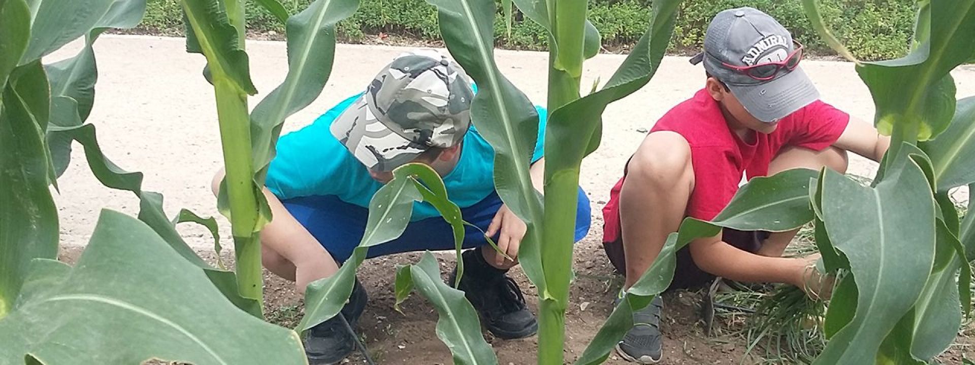 Φωτογραφία από παιδιά που εξοικειώνονται με τα φυτά του Πάρκου Σταύρος Νιάρχος