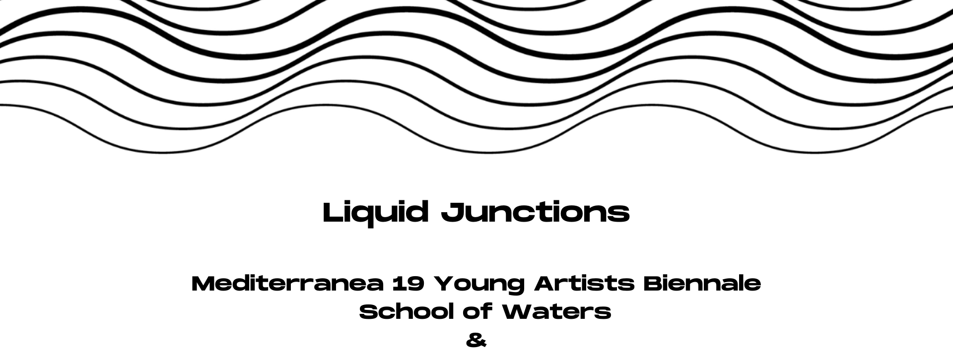 Liquid Junctions website banner