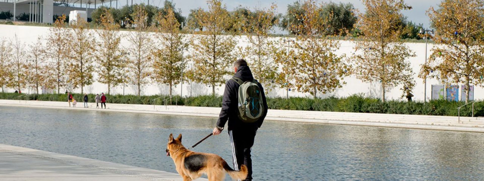 Educational Activity: Getting to know Assistance Dogs - Εικόνα
