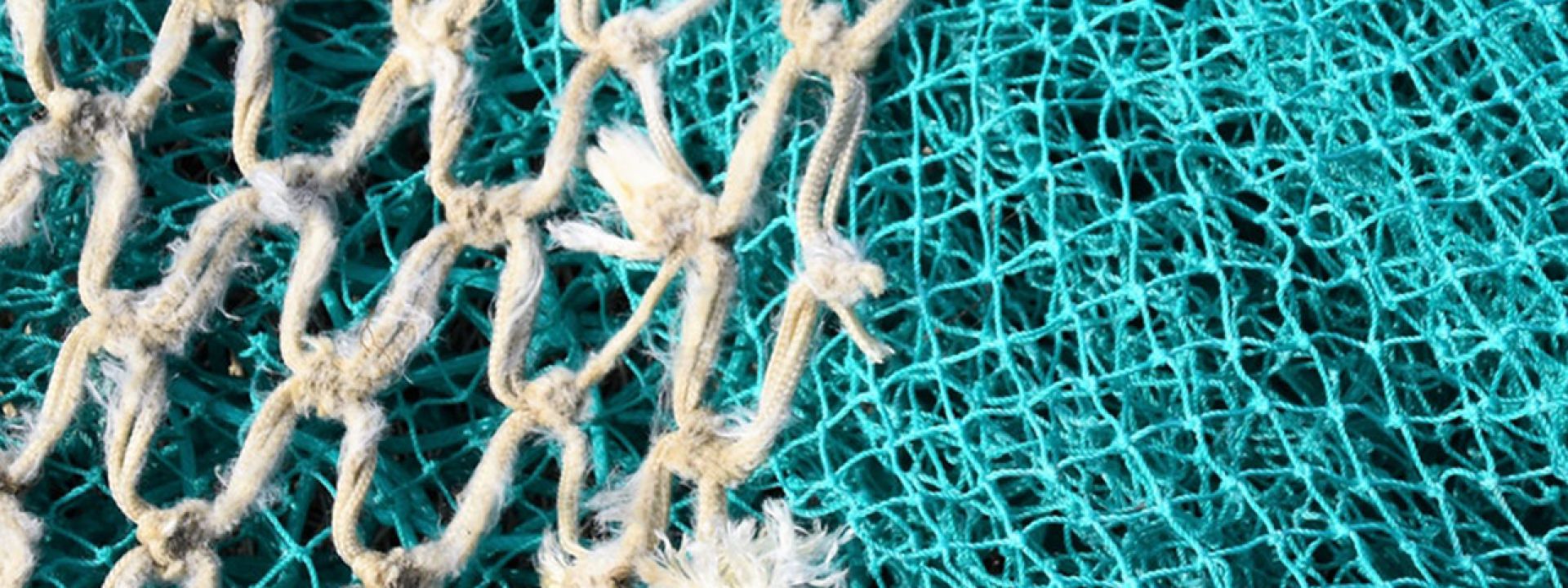 Φωτογραφία από δίχτυα ψαράδων