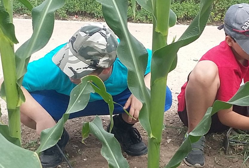Φωτογραφία από παιδιά που εξερευνούν τα φυτά στο Πάρκο Σταύρος Νιάρχος