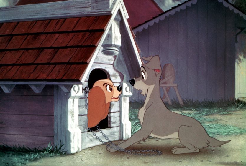Lady and the Tramp (1955) - Εικόνα