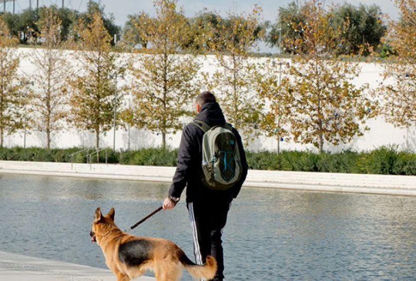 Educational Activity: Getting to know Assistance Dogs - Εικόνα