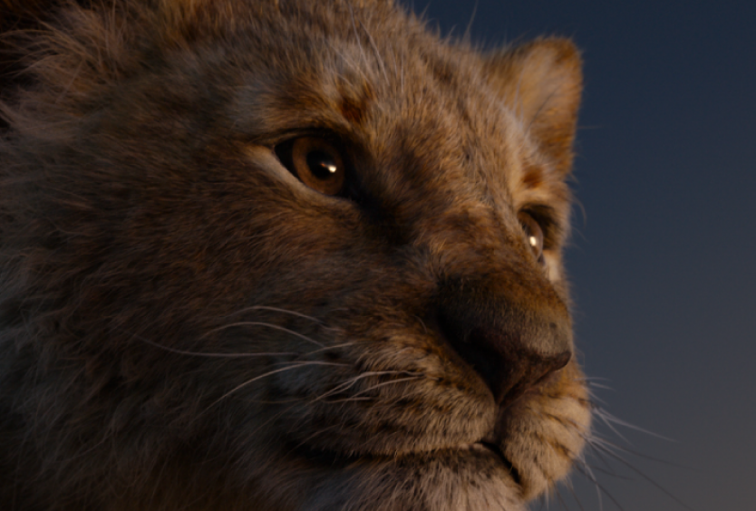 Στιγμιότυπο από την ταινία Lion King που απεικονίζει μικρό λιοντάρι
