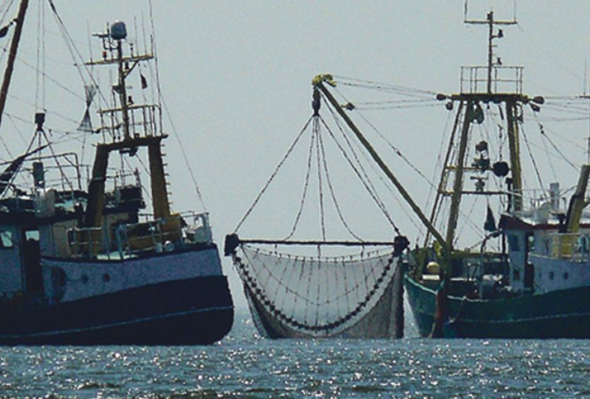 Φωτογραφία που απεικονίζει αλιευτικά πλοία