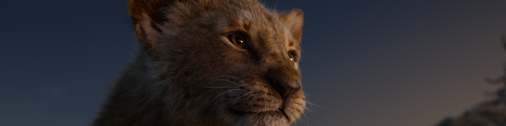 Στιγμιότυπο από την ταινία Lion King που απεικονίζει μικρό λιοντάρι